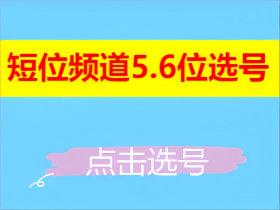 短位频道5.6位选号